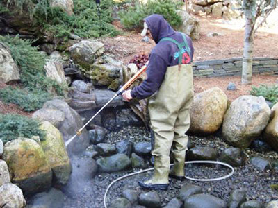 Limpiando el estanque